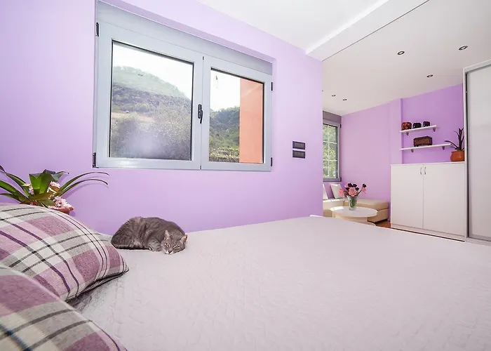 Apartments Princess View